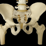 腰痛の原因は股関節？なぜ股関節に問題があると腰に痛みがでるの？