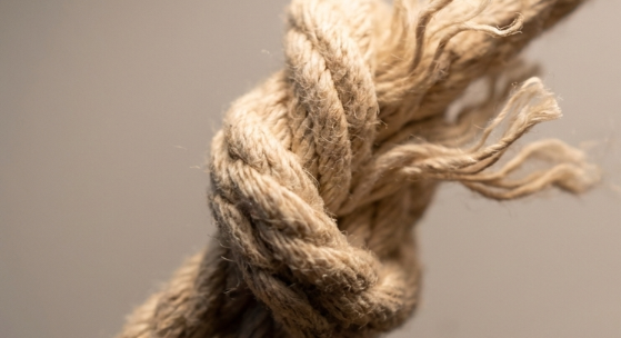 押さえ込むほど強くなると気づいたから