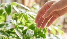 自分の現実に触れる、小さな習慣